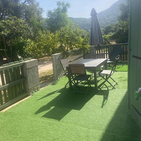 Appartement Proche Du Depart Du Gr20 卡伦扎纳 外观 照片